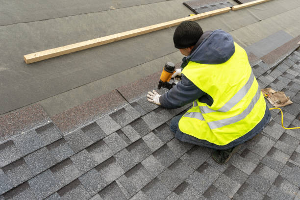 Best Roof Gutter Cleaning  in Mcnair, VA