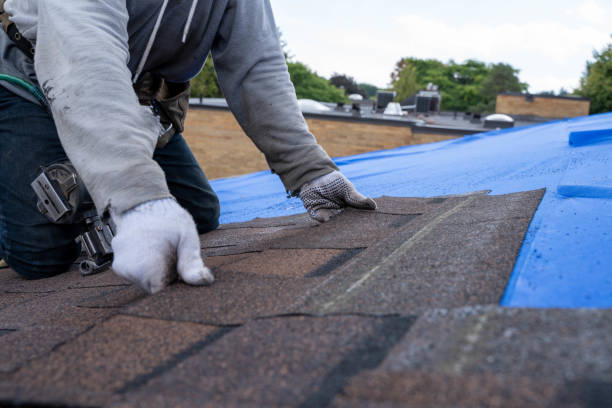 Mcnair, VA Roofing Contractor Company