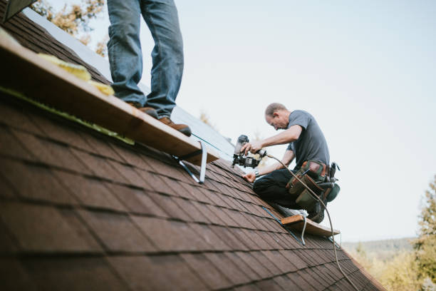 Best Roof Maintenance Services  in Mcnair, VA